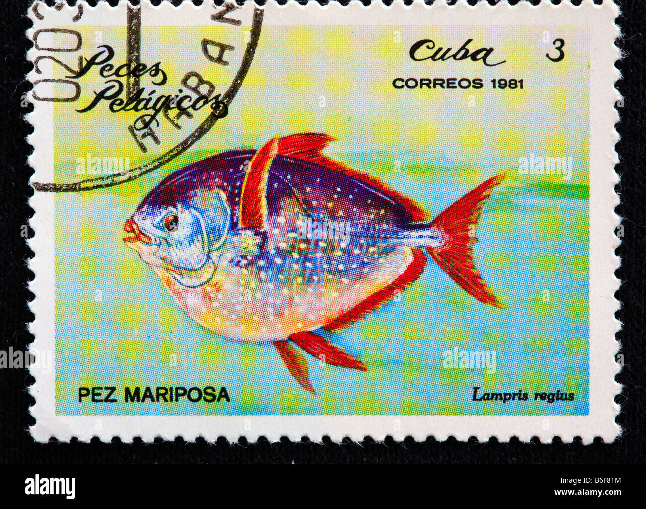 Dieux moonfish, le malachigan, kingfish, Jérusalem l'aiglefin (Lampris guttatus), timbre-poste, Cuba, 1981 Banque D'Images