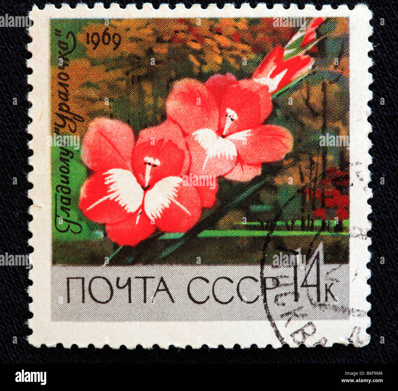 Glaïeul (Gladiolus gandavensis hybridus), timbre-poste, URSS, 1969 Banque D'Images