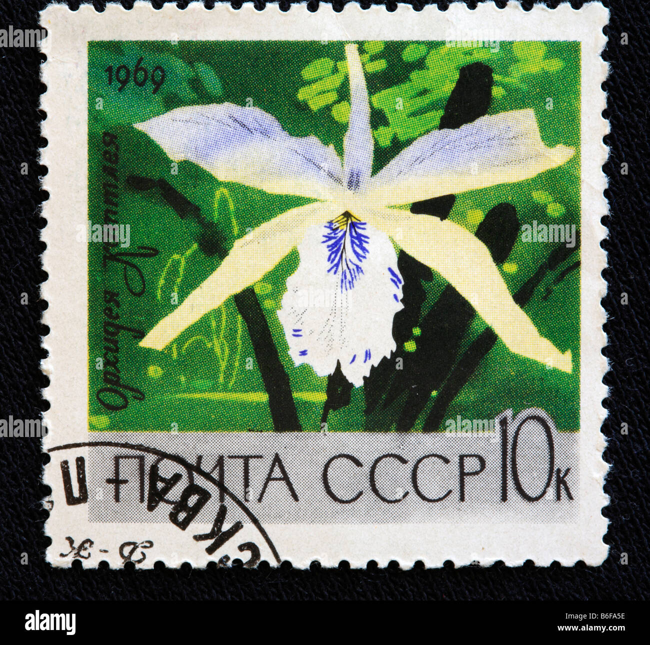 (Orchidée Cattleya speciosissima), timbre-poste, URSS, 1969 Banque D'Images
