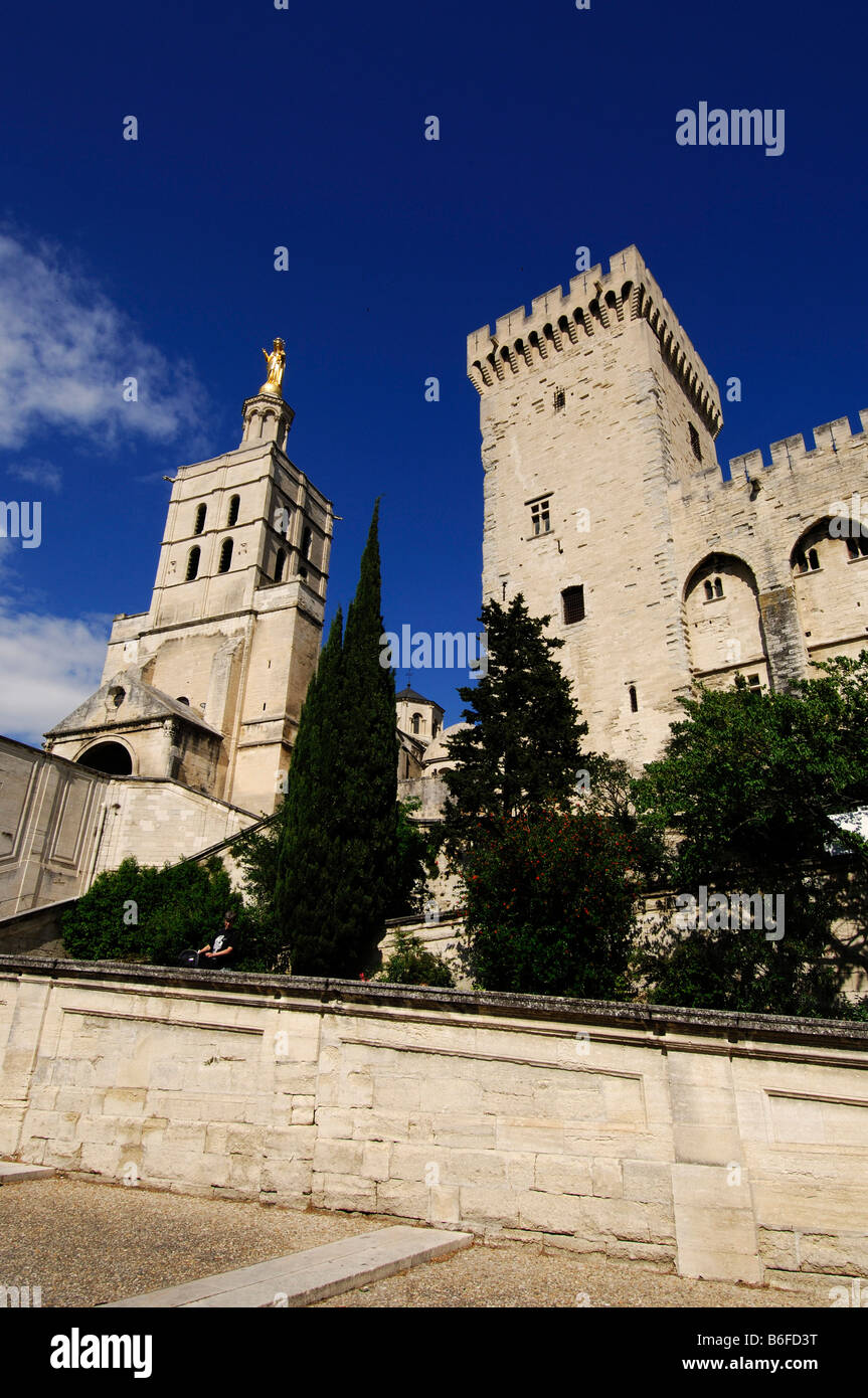 Le Palais des Papes à Avignon, Provence, France, Europe Banque D'Images