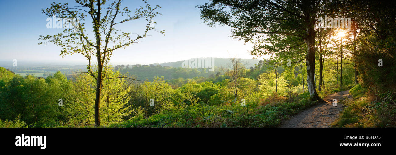 Vue panoramique du sud à partir de la soirée 'Holmbury Hill' North Downs Surrey Surrey Hills Angleterre Banque D'Images