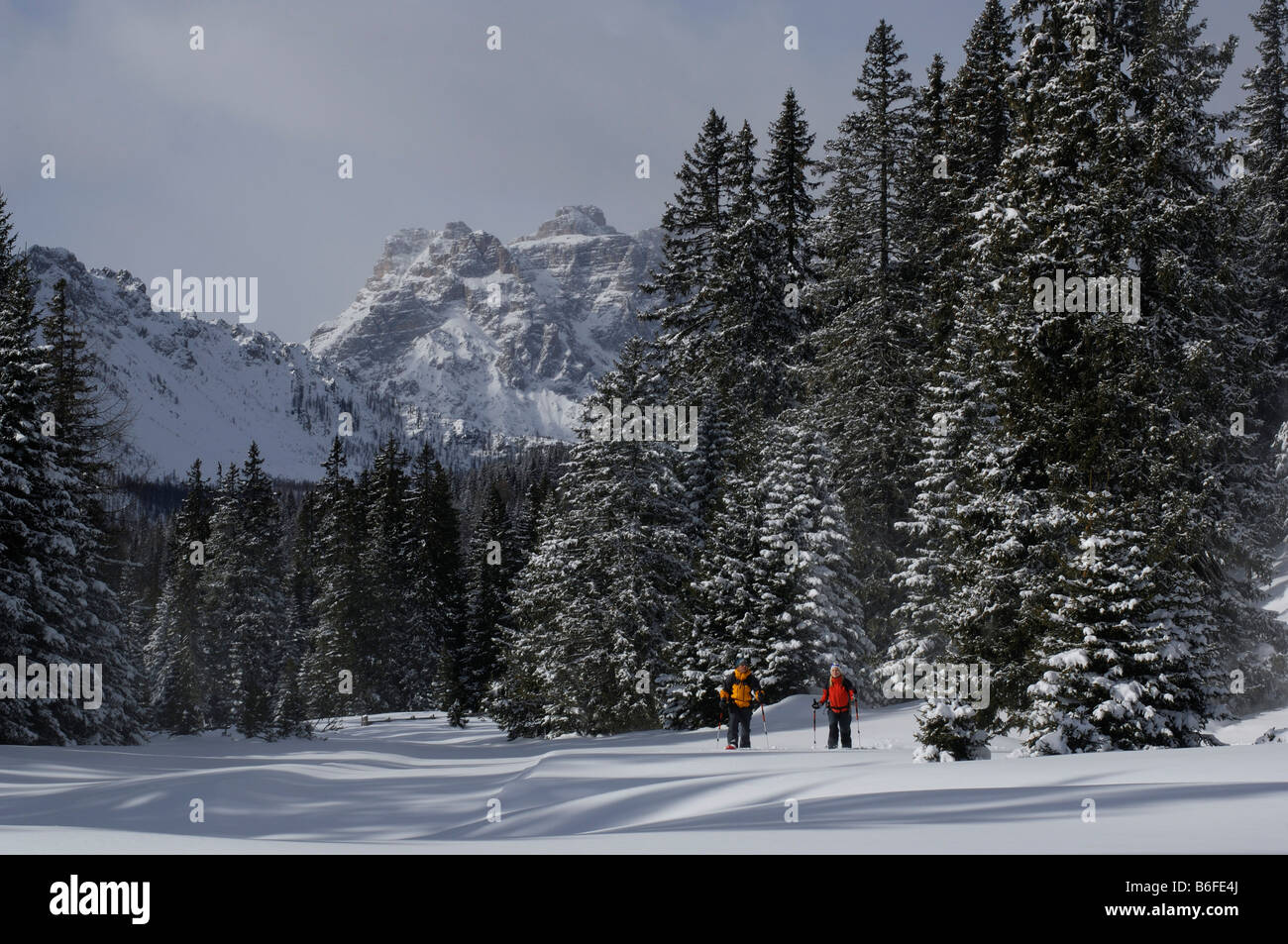 Les randonneurs en raquettes randonnées à Alpe Nemes, haute montagne vallée Puster ou Alto Pusteria, Bolzano-Bozen, dolomite, Alpes, Italie, Europe Banque D'Images