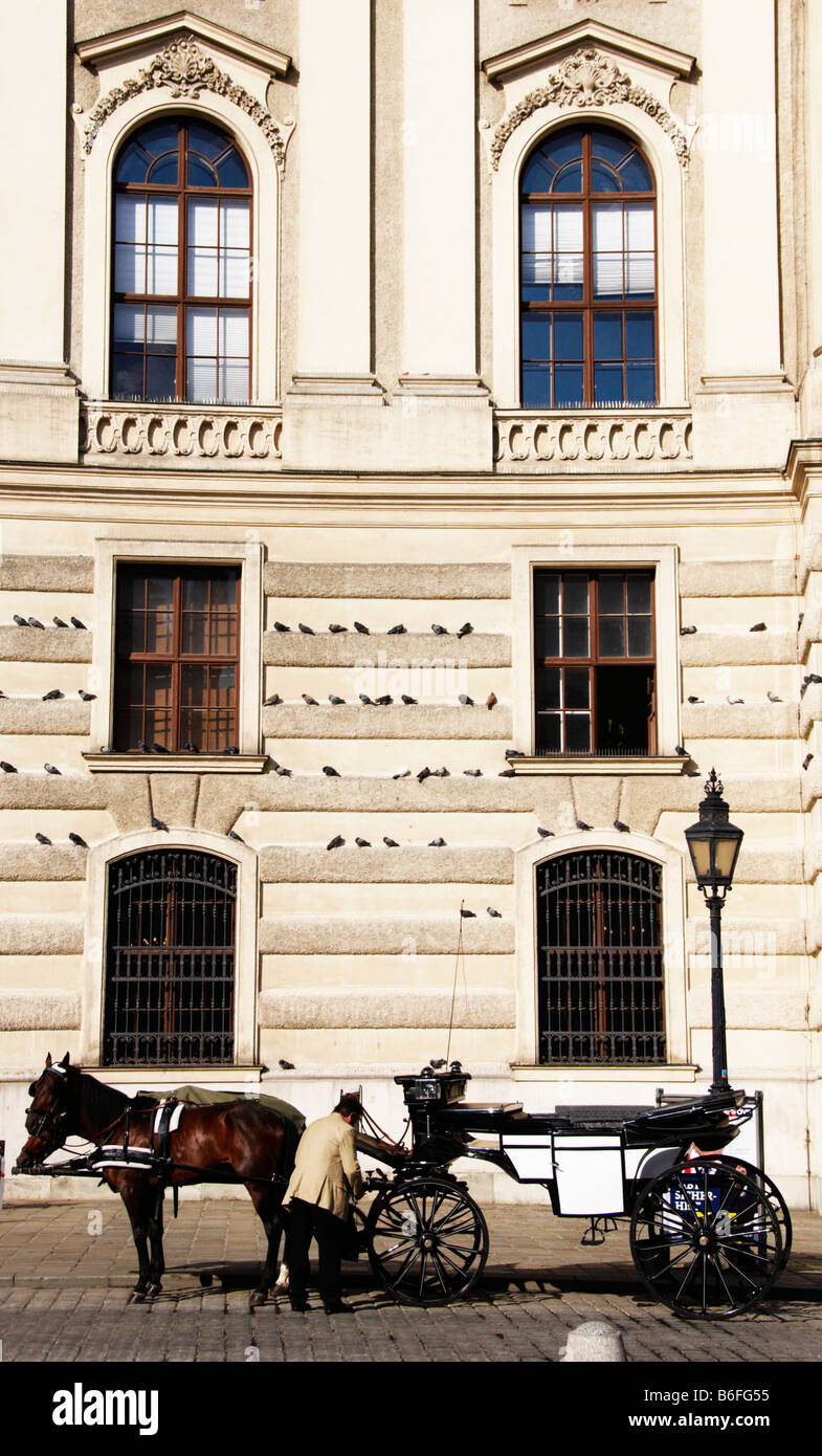Le transport en face de l'Impérial Hofburg Palace sur Michaelerplatz Square, Vienne, Autriche, Europe Banque D'Images