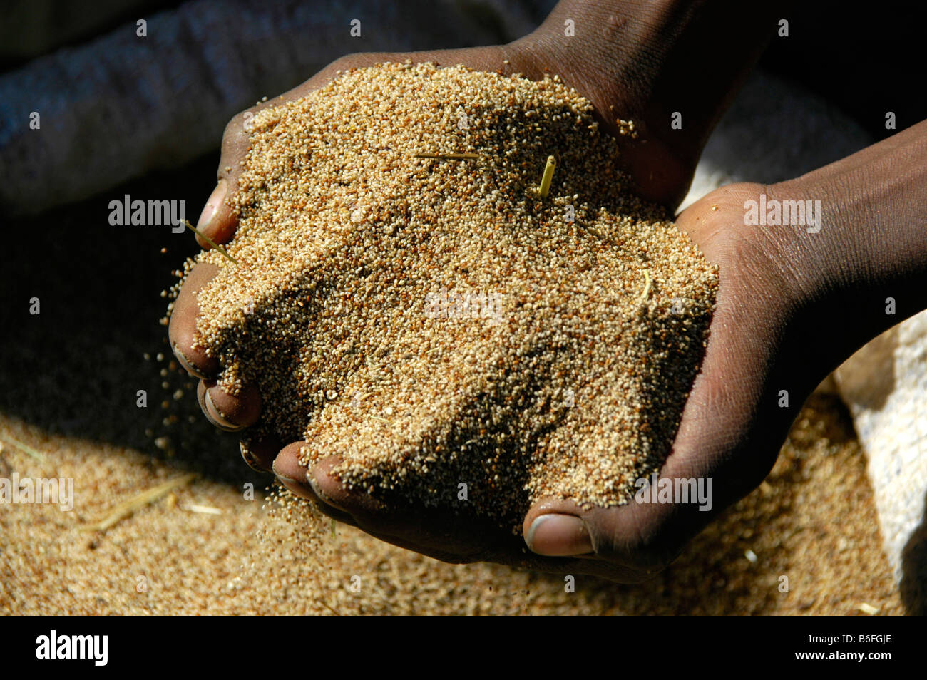 La faim, le grain dans la main, le teff, déchargent des marché, Ethiopie, Afrique Banque D'Images