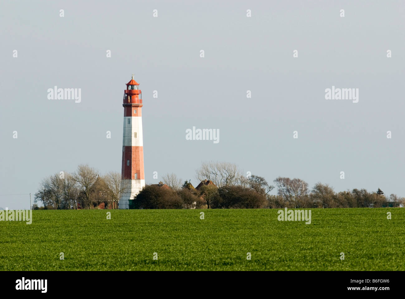 Phare dans Krummsteert Fluegge réserve naturelle sur l'île de Fehmarn, Schleswig-Holstein, Allemagne, Europe Banque D'Images