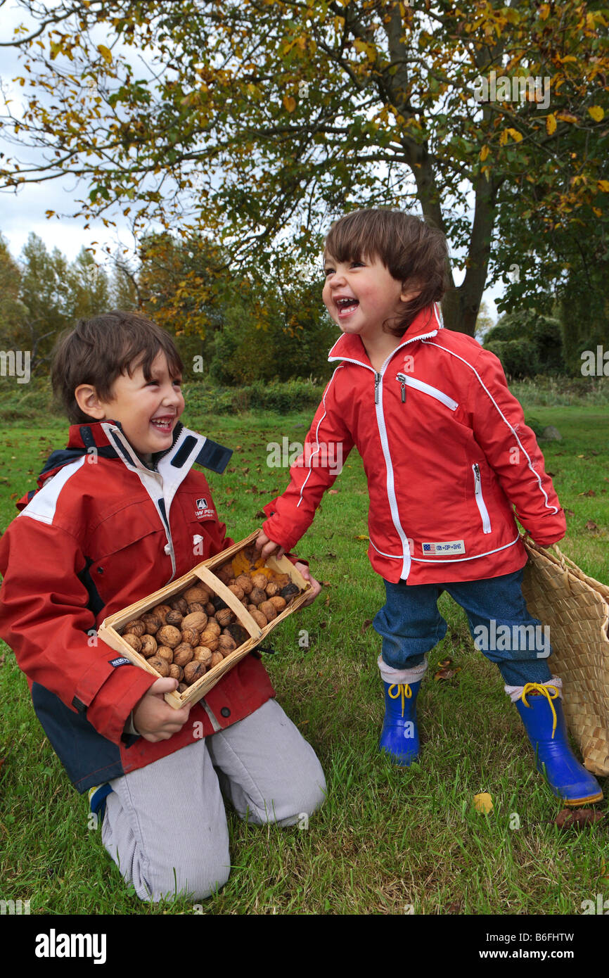 Rire des enfants, la cueillette de noix, de Niederwerth, Rhénanie-Palatinat, Allemagne, Europe Banque D'Images