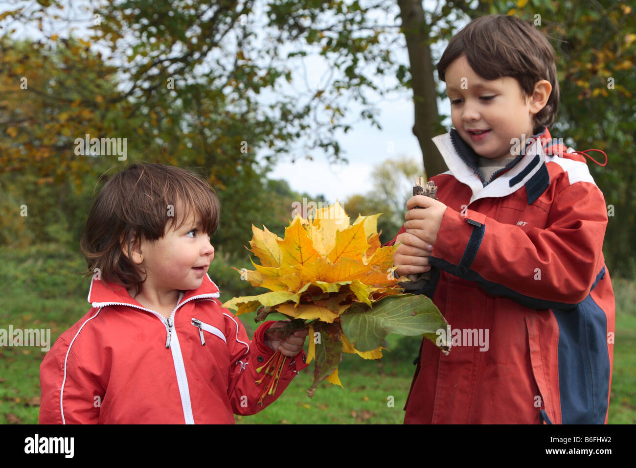 Des enfants qui ramassent les feuilles d'automne, Niederwerth, Rhénanie-Palatinat, Allemagne, Europe Banque D'Images