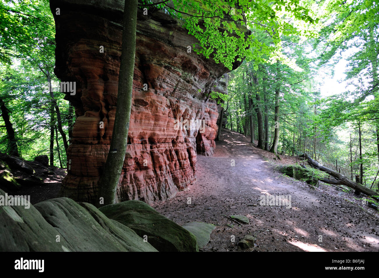 Altschlossfelsen ou vieux château rocher, à Eppenbrunn, Naturpark Pfaelzerwald Nature Park, Rhénanie-Palatinat, Allemagne, Europe Banque D'Images
