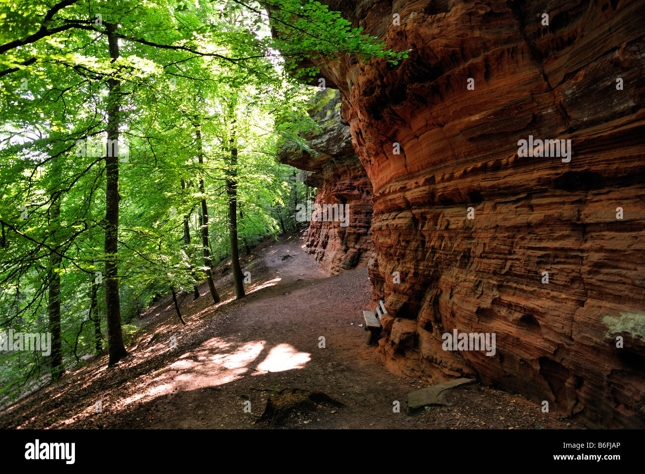 Altschlossfelsen ou vieux château rocher, à Eppenbrunn, Naturpark Pfaelzerwald Nature Park, Rhénanie-Palatinat, Allemagne, Europe Banque D'Images