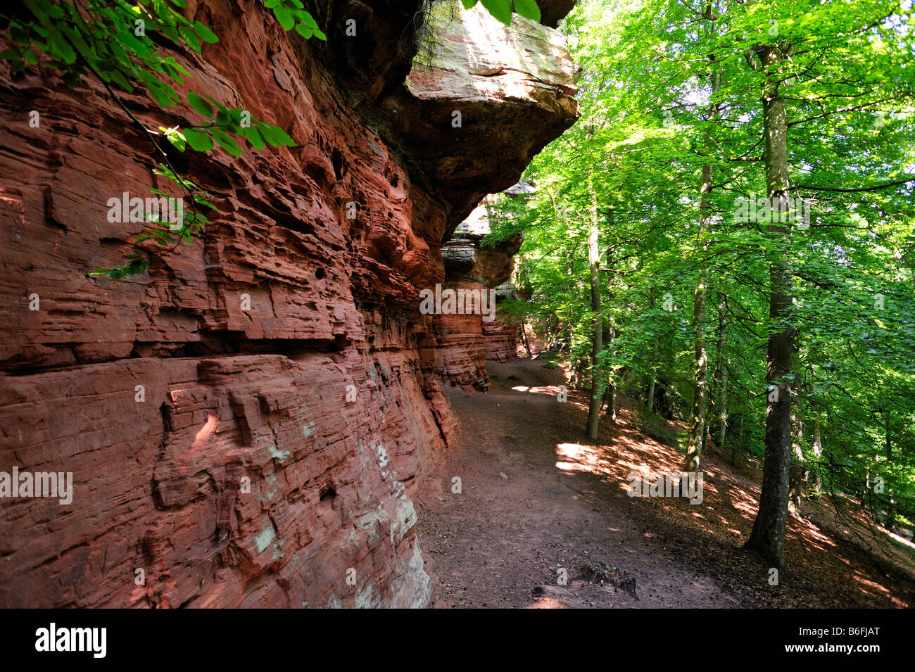 Altschlossfelsen ou vieux château rocher, à Eppenbrunn, Naturpark Pfaelzerwald Nature Park, Rhénanie-Palatinat, Allemagne, Europe Banque D'Images