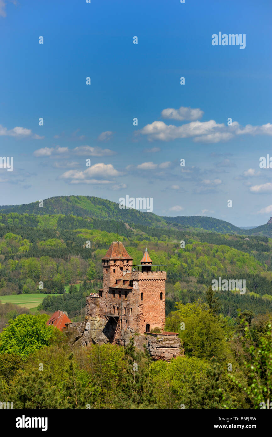 Forteresse Berwartstein, Erlenbach, Naturpark Pfaelzerwald Réserve Naturelle, Rhénanie-Palatinat, Allemagne, Europe Banque D'Images