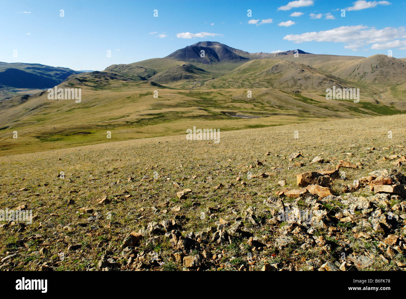 De vastes prairies, Saylyugem Tschuja montagnes, steppes, République de l'Altaï, en Sibérie, Russie, Asie Banque D'Images