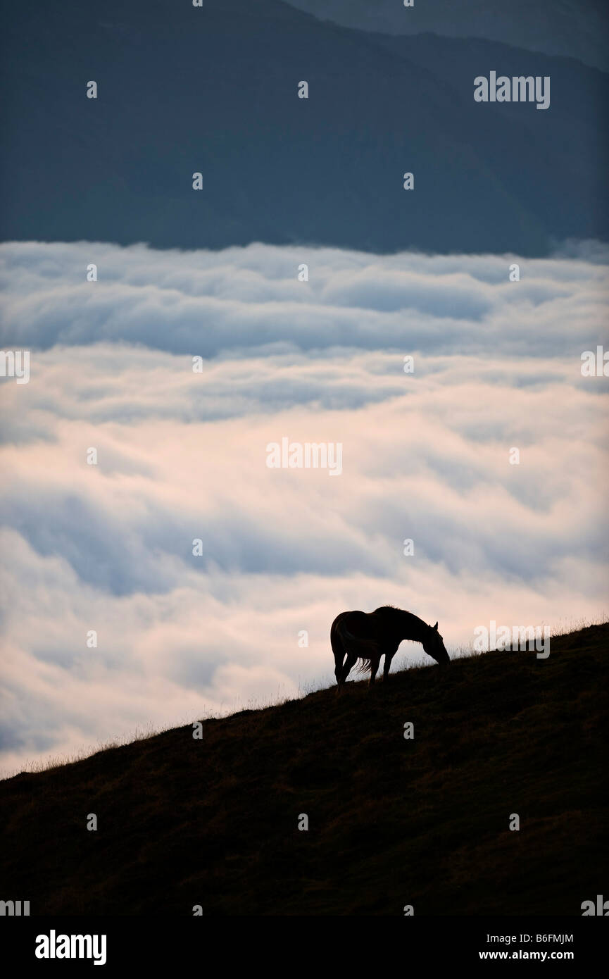 L'au-dessus des nuages sur le Col d'Aubisque, Aquitaine, France, Europe Banque D'Images