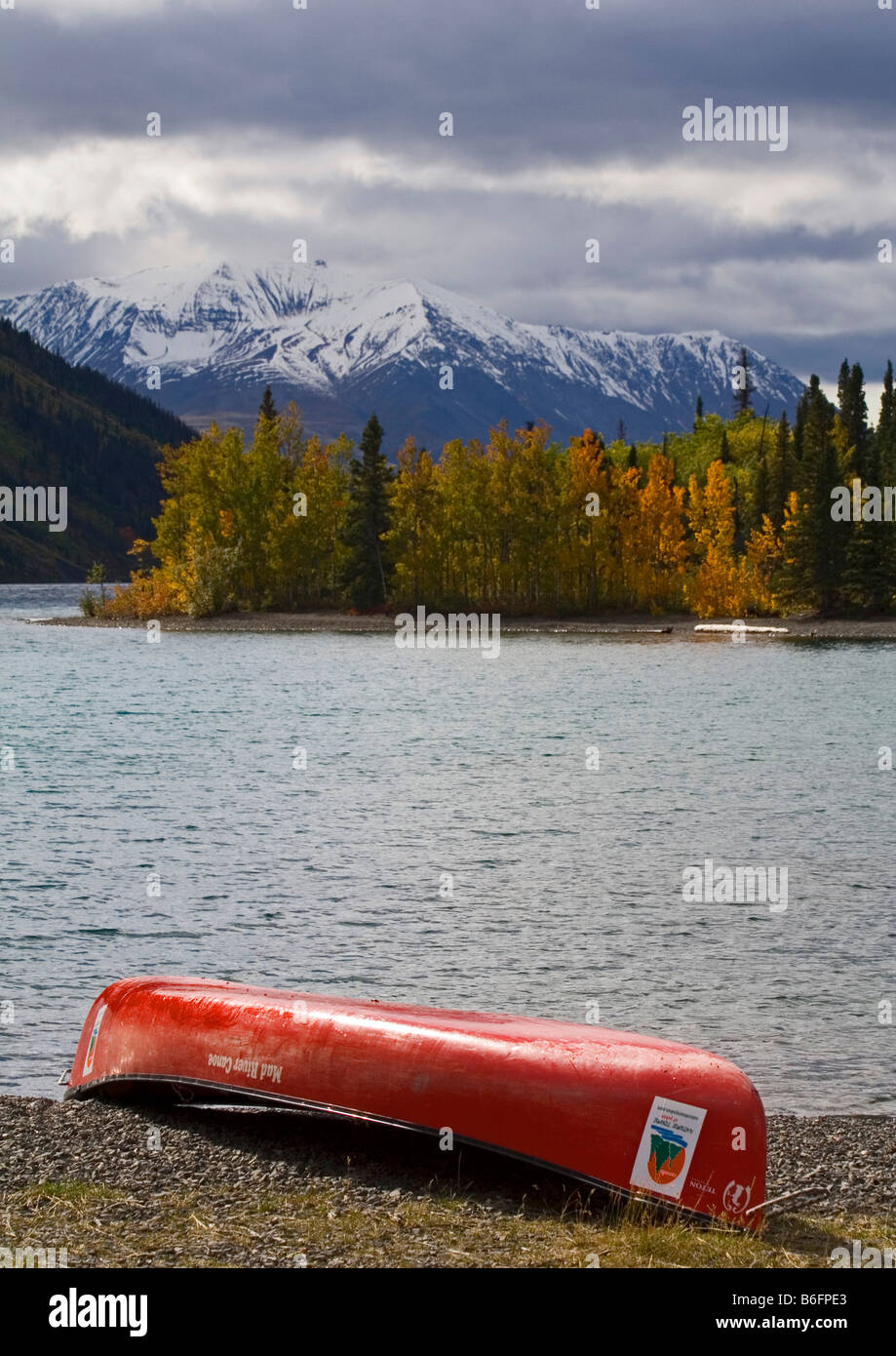 Couleurs d'automne, en canoë à l'envers, le lac Kathleen, St. Elias derrière, Réserve de parc national Kluane, Yukon, Canada, Amérique du Banque D'Images