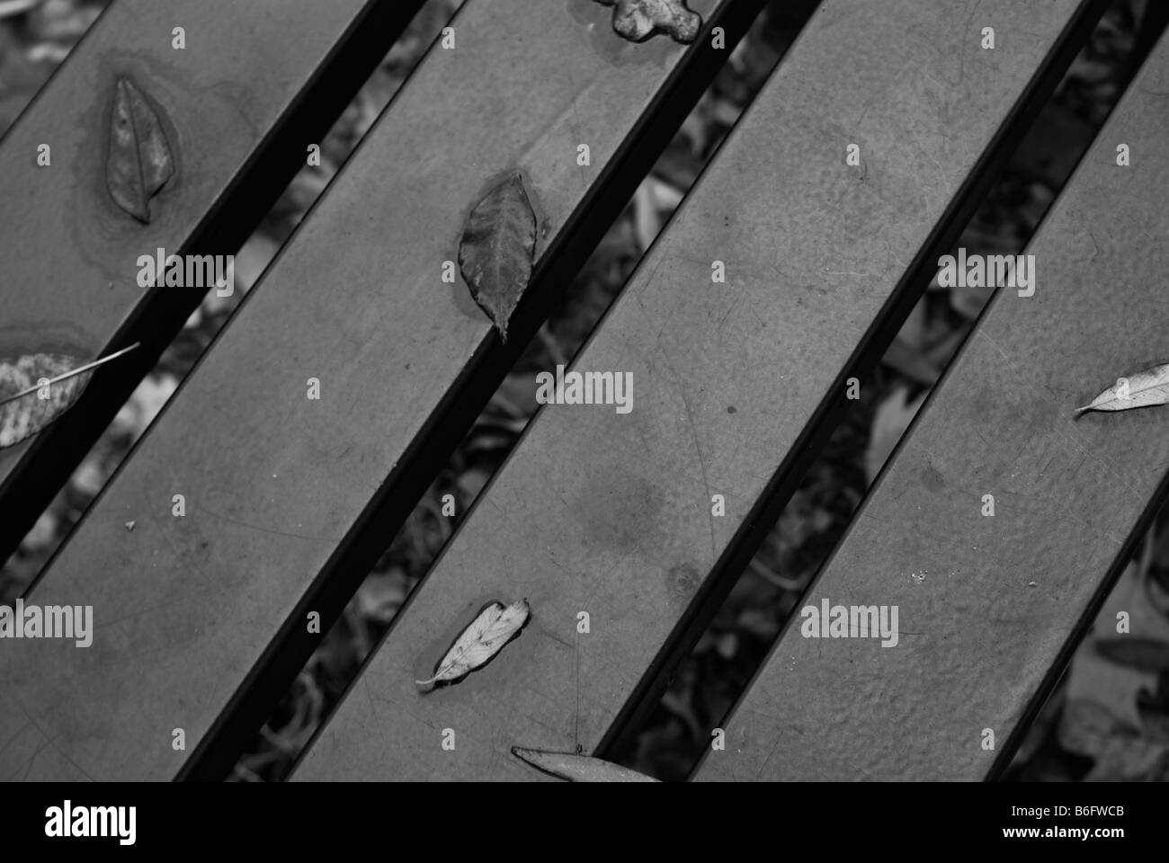 Abrégé d'un banc de parc en noir et blanc montrant les feuilles d'automne tombée sur elle Banque D'Images