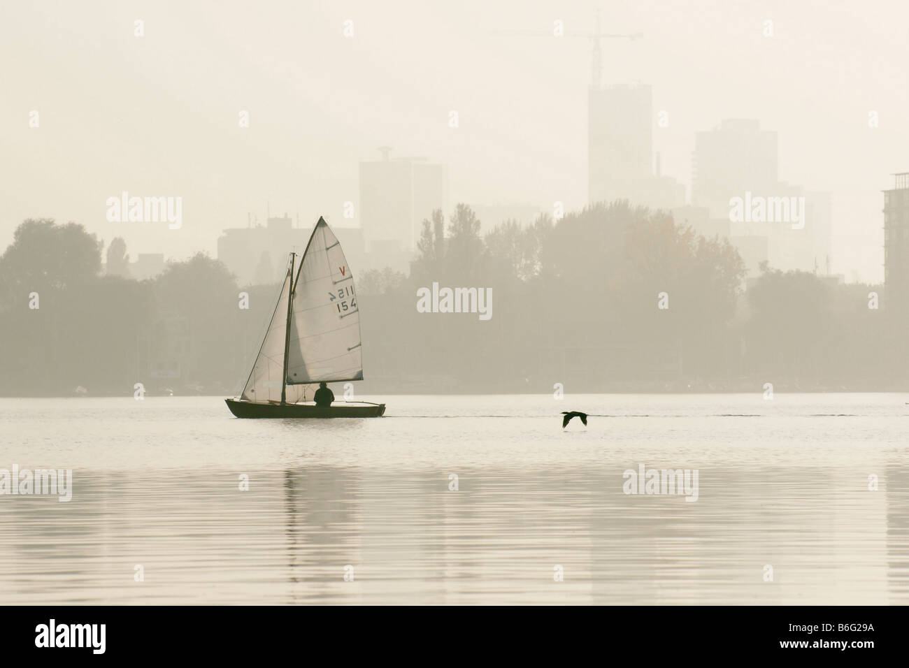 Un vol de canard et petit voilier naviguant dans le brouillard au-dessus de l'eau du lac Kralingse Rotterdam Pays-Bas soir mist Banque D'Images