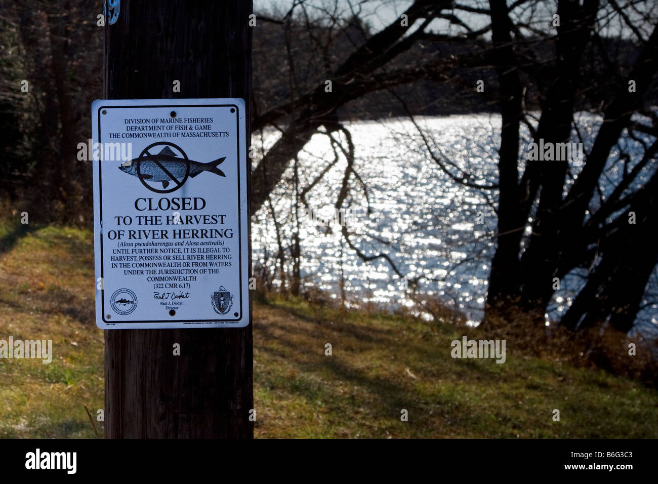 Un signe indiquant que le pêcheur à proximité de la rivière Merrimack est fermé à la pêche du hareng dans la région de West Newbury, Massachusetts Banque D'Images Un signe indiquant que le pêcheur à proximité de la rivière Merrimack est fermé à la pêche du hareng dans la région de West Newbury, Massachusetts Banque D'Images
