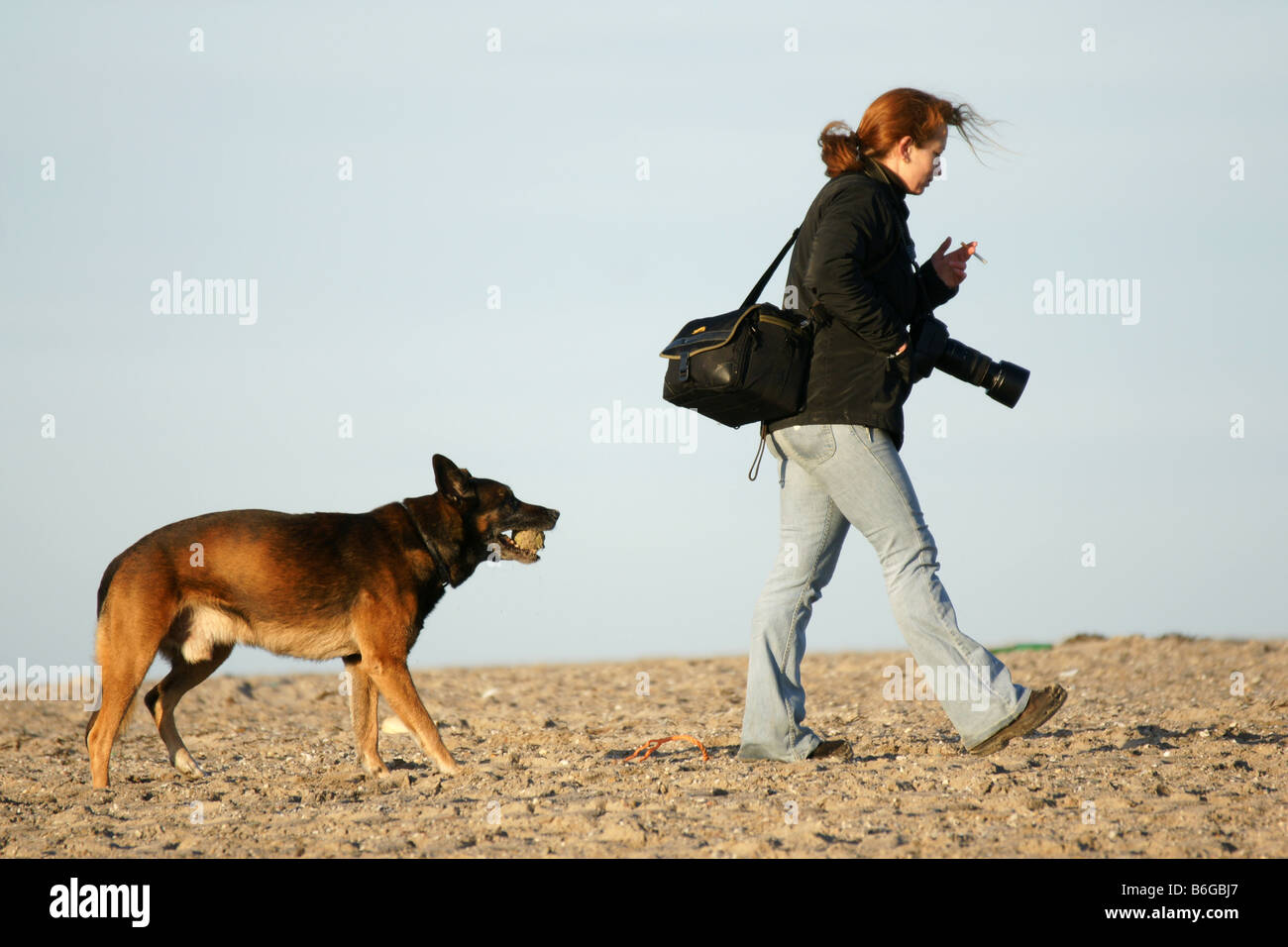 Jeune femme photographe marcher avec un chien sur la plage de sable sous ciel bleu horizon passe à droite corps entier holding camera Banque D'Images