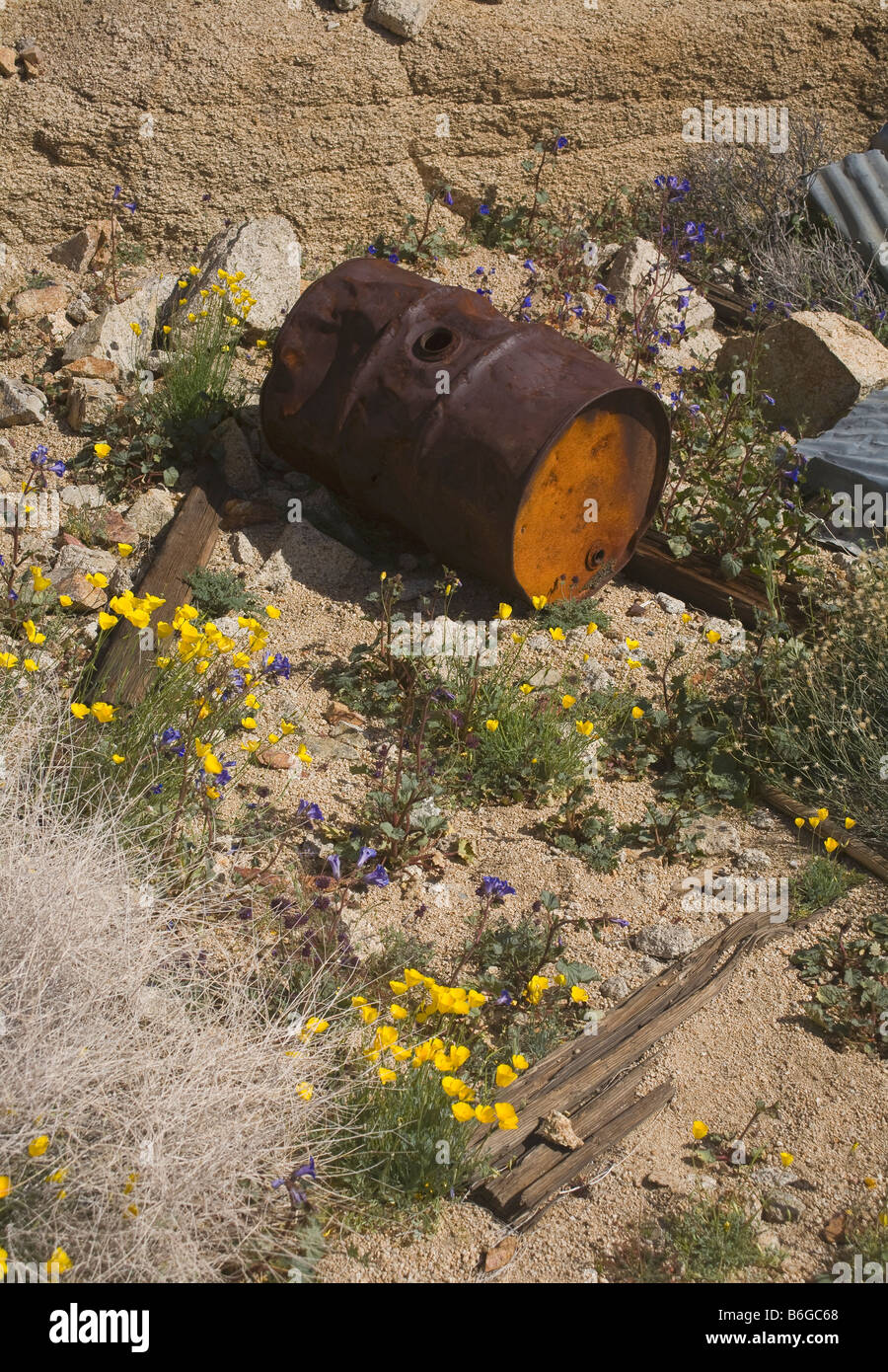 Californie - vieux déchets laissés à l'abandon depuis longtemps Mastodon Mine près de Cottonwood Springs dans Joshua Tree National Park. Banque D'Images