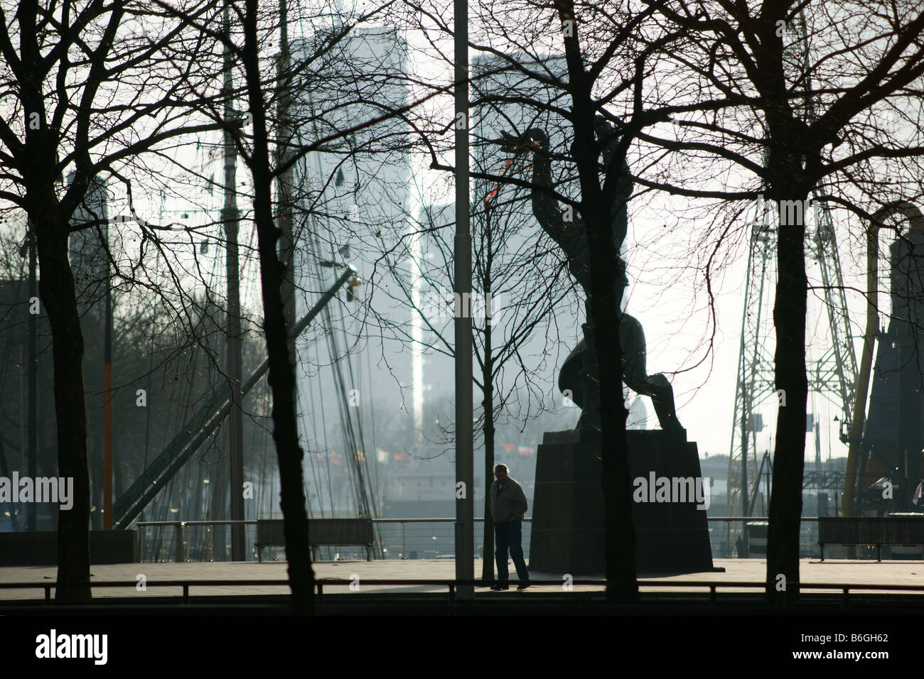 Zadkine la statue détruite War Memorial et arbres à Rotterdam Pays Bas Banque D'Images