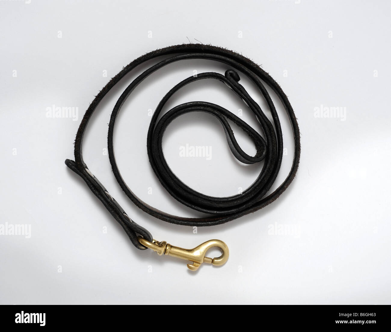 Mener un chien en laisse ou avec un bracelet en cuir Banque D'Images