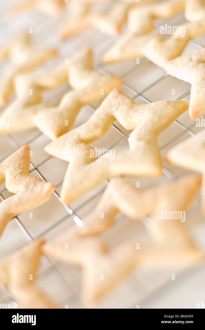 Biscuits au gingembre en forme d'étoiles portées sur une grille de refroidissement. Ils ont ensuite été emballés dans de petites boîtes à donner pour des cadeaux de Noël. Banque D'Images