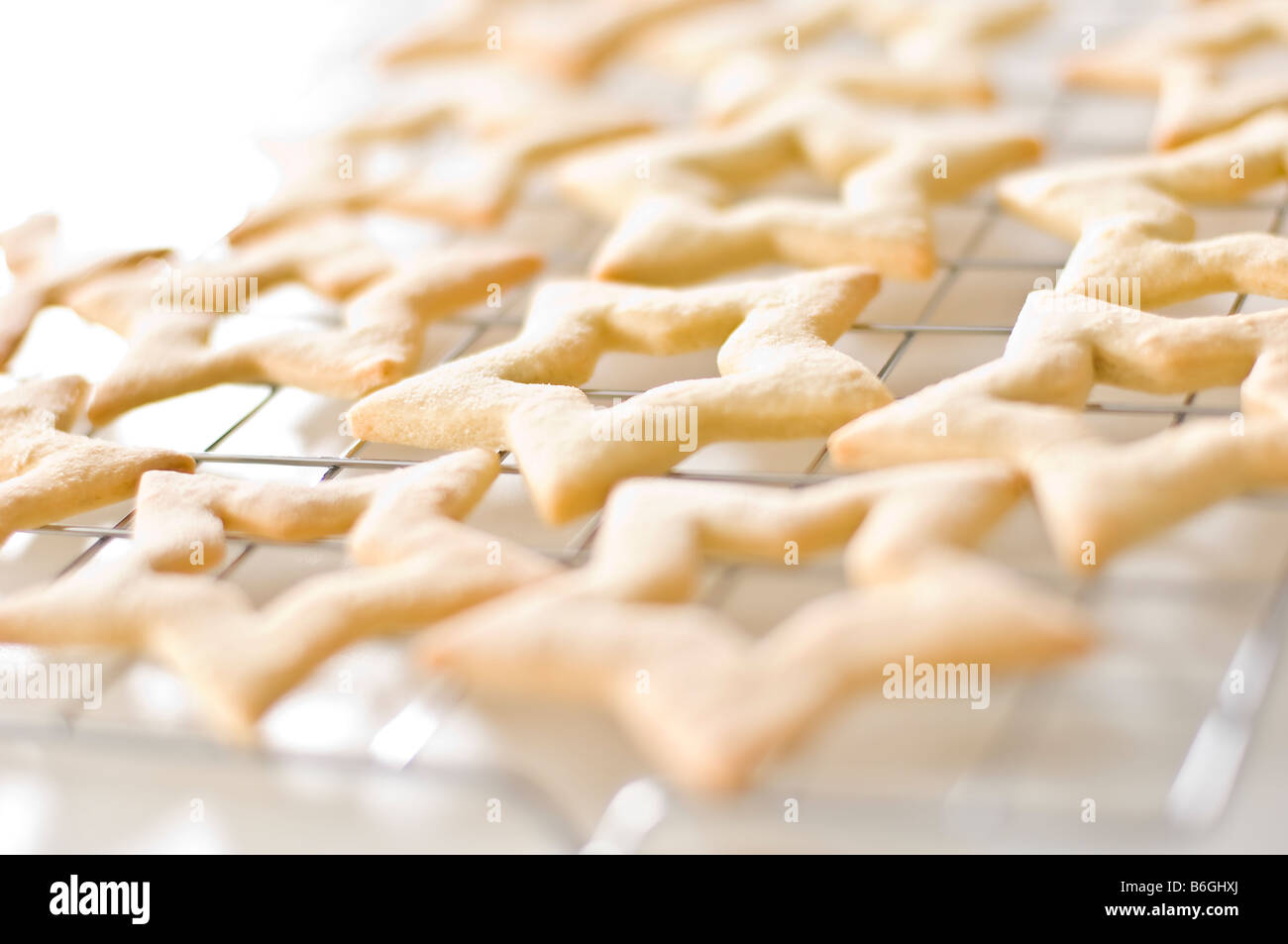 Biscuits au gingembre en forme d'étoiles portées sur une grille de refroidissement. Ils ont ensuite été emballés dans de petites boîtes à donner pour des cadeaux de Noël. Banque D'Images