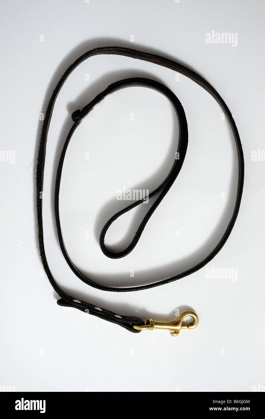 Mener un chien en laisse ou avec un bracelet en cuir Banque D'Images