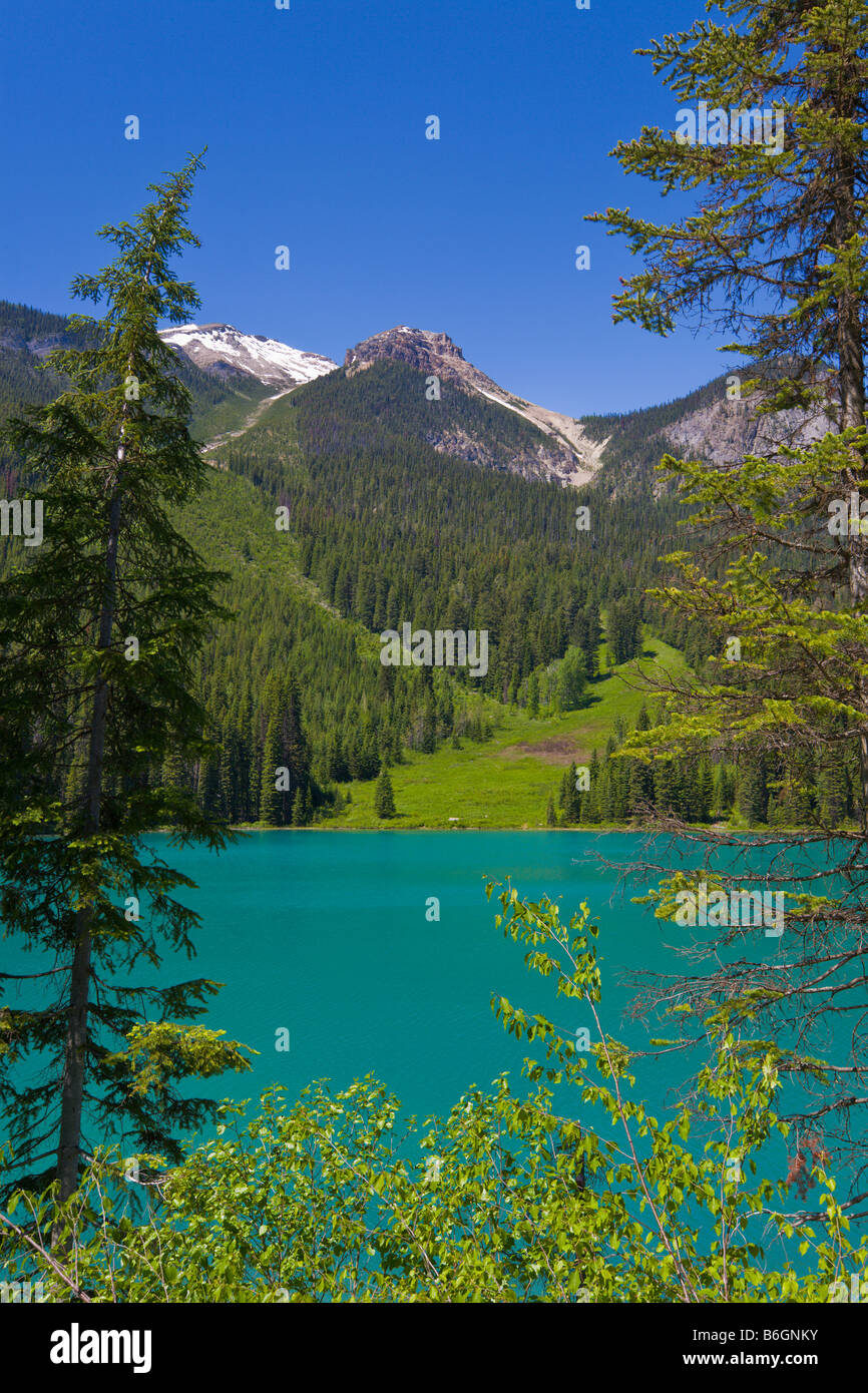 'Emerald Lake' Canadian Rockies 'British Columbia Canada Banque D'Images