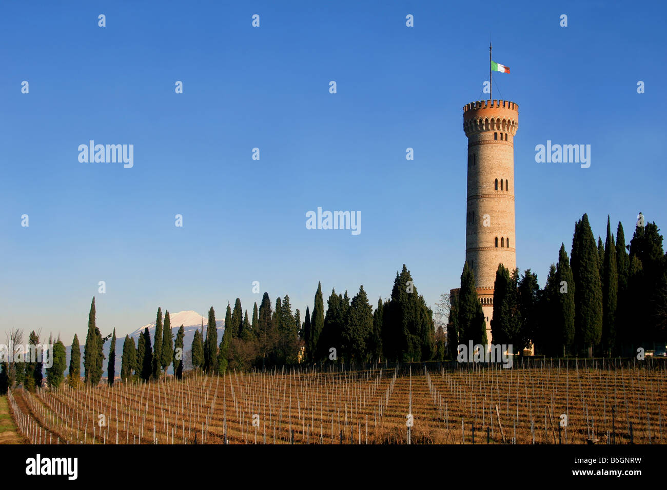 Monument tour de St.Martino della Battaglia. Banque D'Images