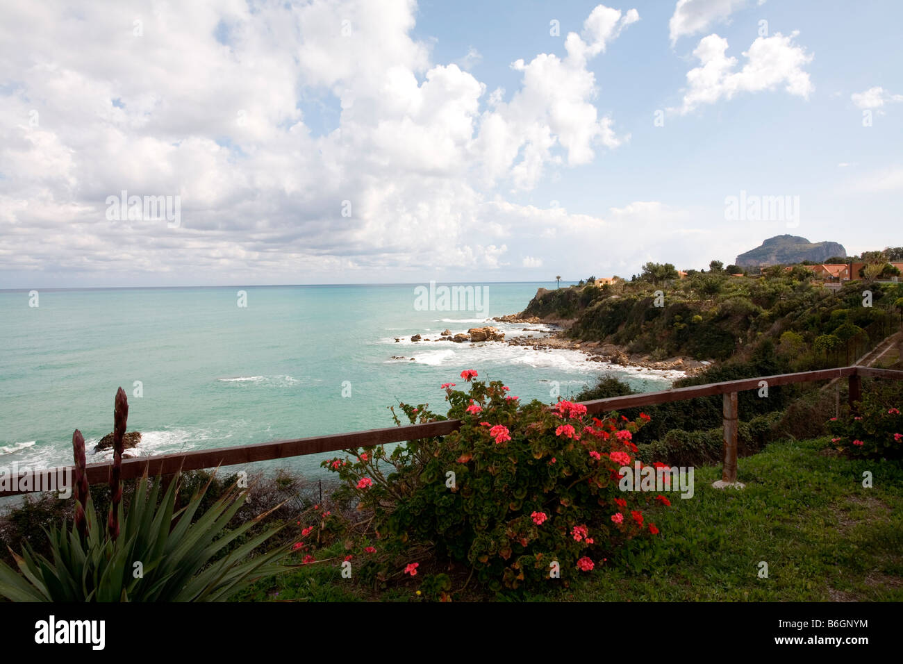 Des fleurs sur la côte de Cefalù, sur l'île de Sicile Italie Banque D'Images