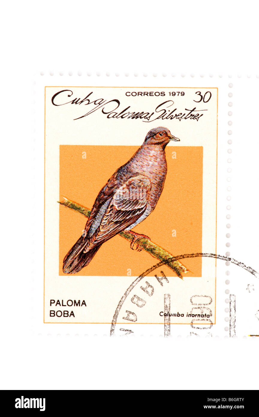 Objet sur timbre cubain blanc Banque D'Images