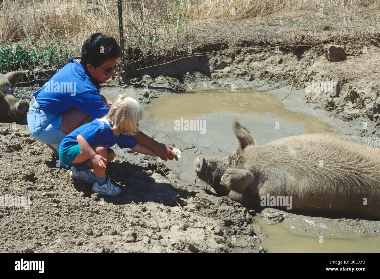 Femme et enfant chat en refuge pour animaux à Orland, Californie Banque D'Images