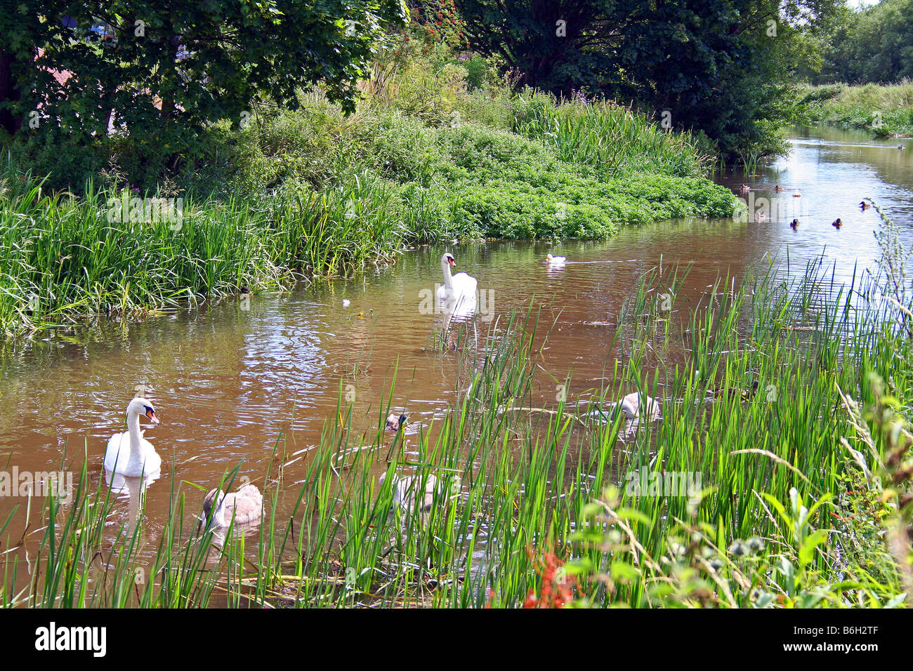 L'heure de pointe sur le canal. Banque D'Images