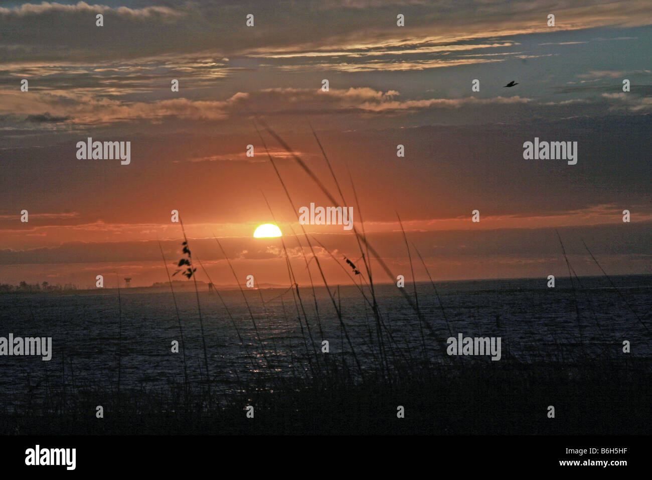 Siery lever du soleil au large de Pensacola NAS vers la plage de Gulf Breeze en Floride avec sea oats qui souffle dans la brise et whispery nuages Banque D'Images