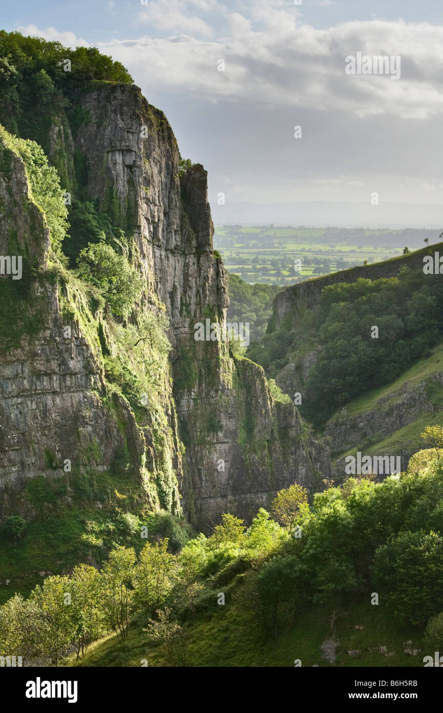 Les gorges de Cheddar, Somerset, England, UK Banque D'Images
