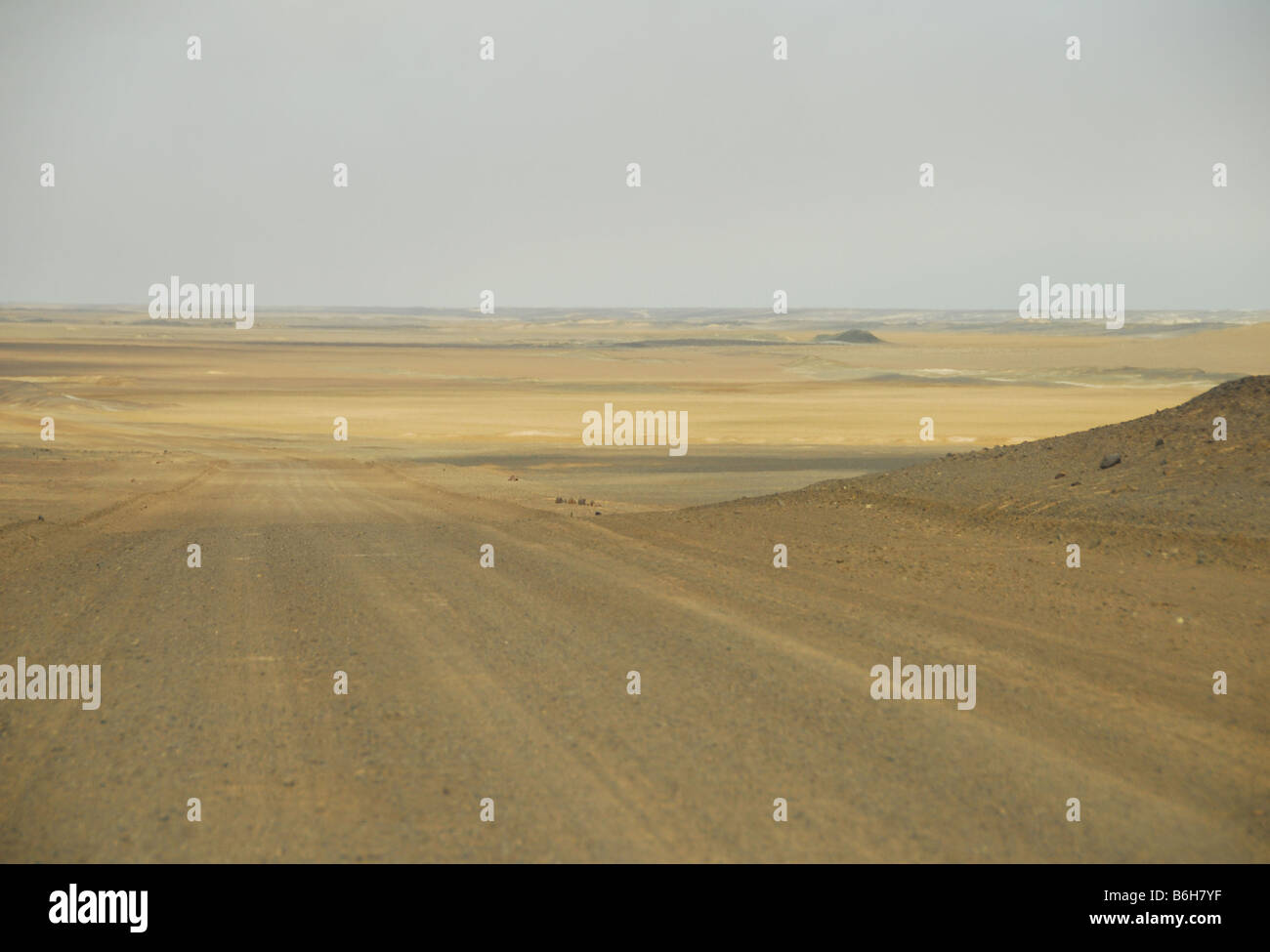 Dirt track road, Skeleton Coast National Park, Namibie Banque D'Images