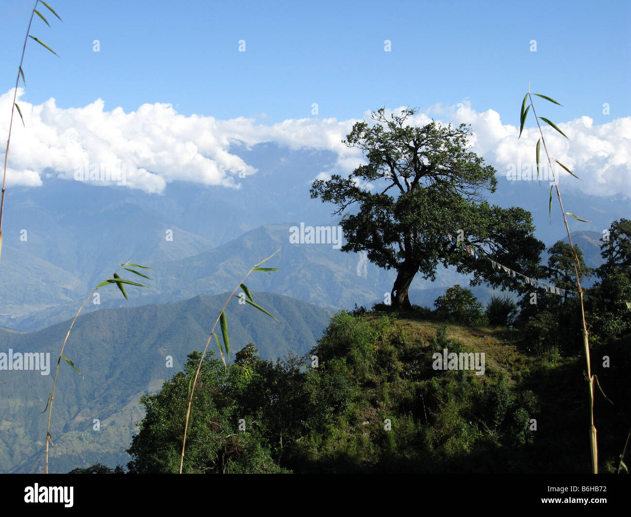 L'Himalaya vu depuis le dessus de Shivapuri, dédié à Shiva, le dieu hindou qui fait maintenant partie d'un parc national. Banque D'Images