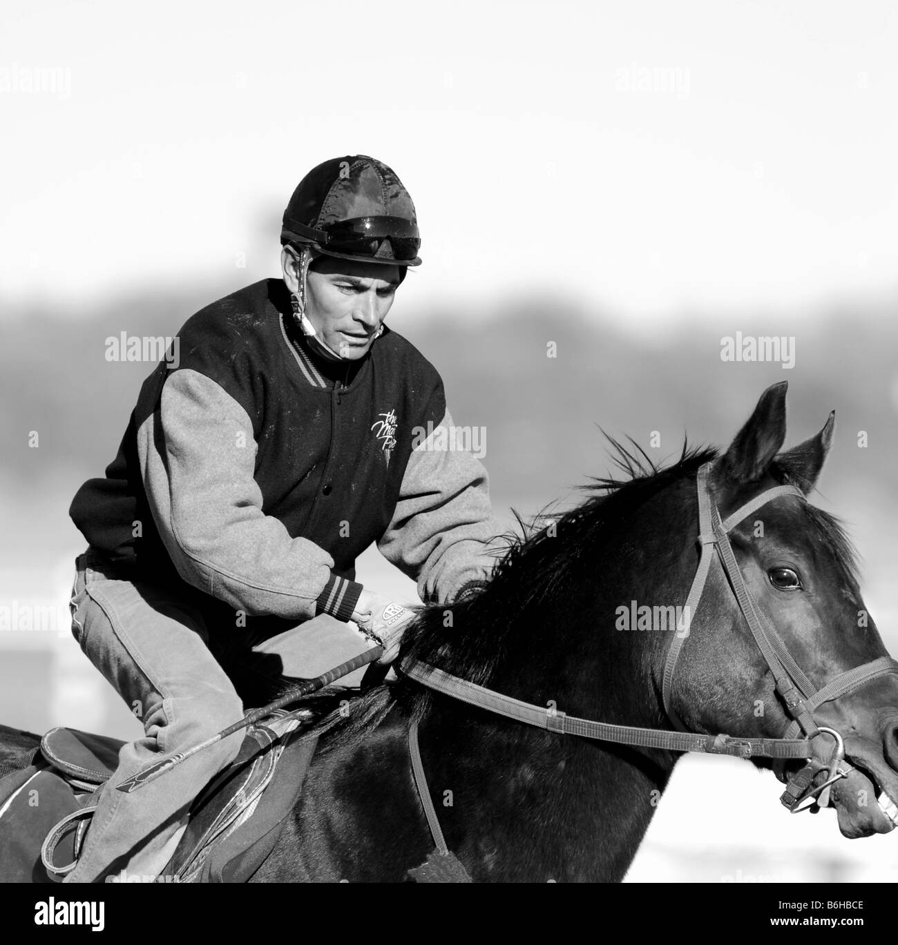 Horse and Jockey (noir et blanc) Banque D'Images