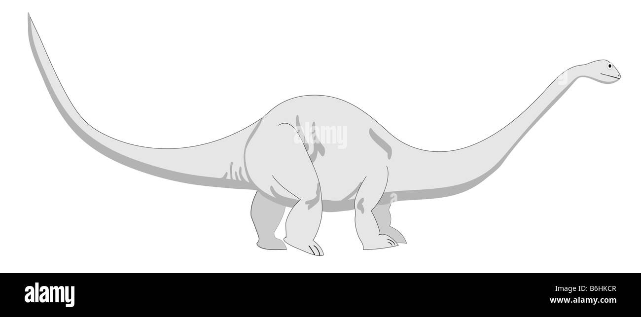 Il s'agit d'un vecteur illustration d'un brontosaure aussi connu comme Apatosaurus. C'est le droits fondamenteux plus grand dinosaure. Banque D'Images