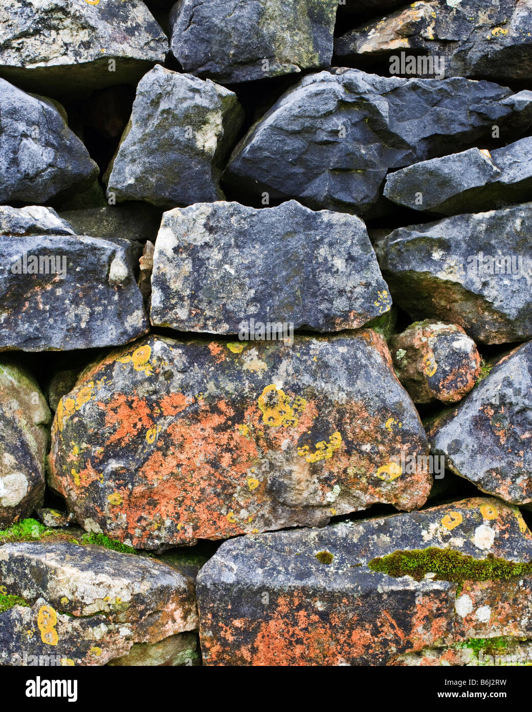 Détail d'un mur en pierre sèche calcaire typique couvert de lichens et  mousses de couleur vive dans une ferme près de Ingleton, Yorkshire Photo  Stock - Alamy