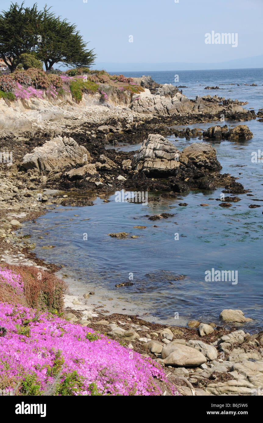 Côte du Pacifique, Monterey, Californie Banque D'Images