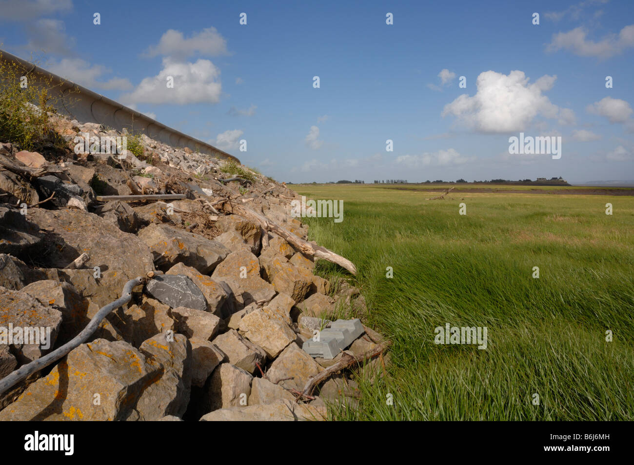 Seawall saltmarsh Goldcliff Niveaux Newport Gwent Wales UK Europe Banque D'Images