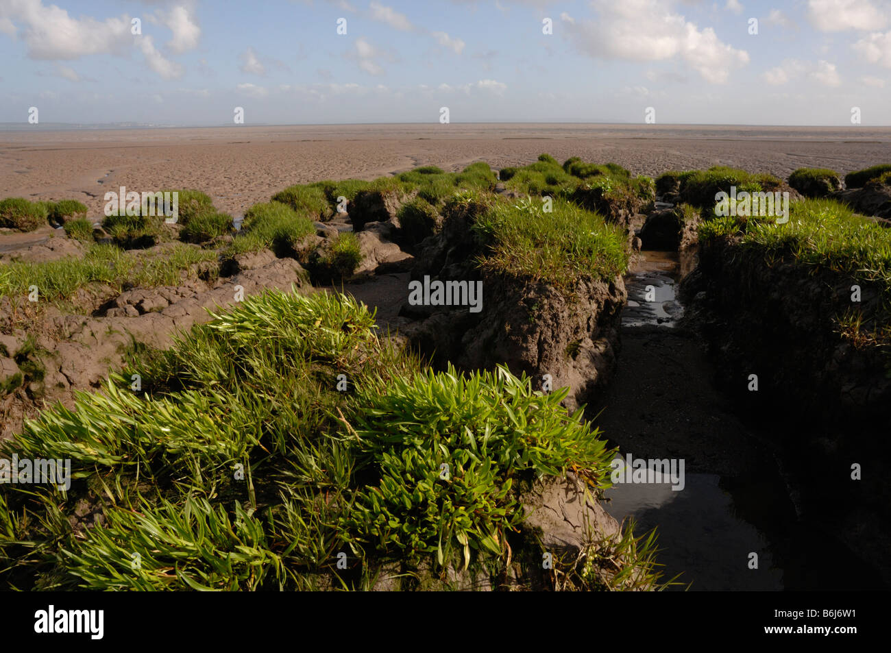 Saltmarsh et vasière Goldcliff Niveaux Newport Gwent Wales UK Europe Banque D'Images