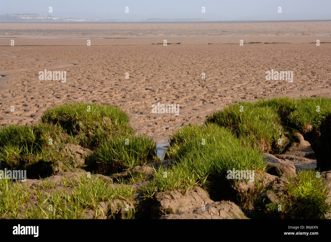 Saltmarsh et vasière Goldcliff Niveaux Newport Gwent Wales UK Europe Banque D'Images