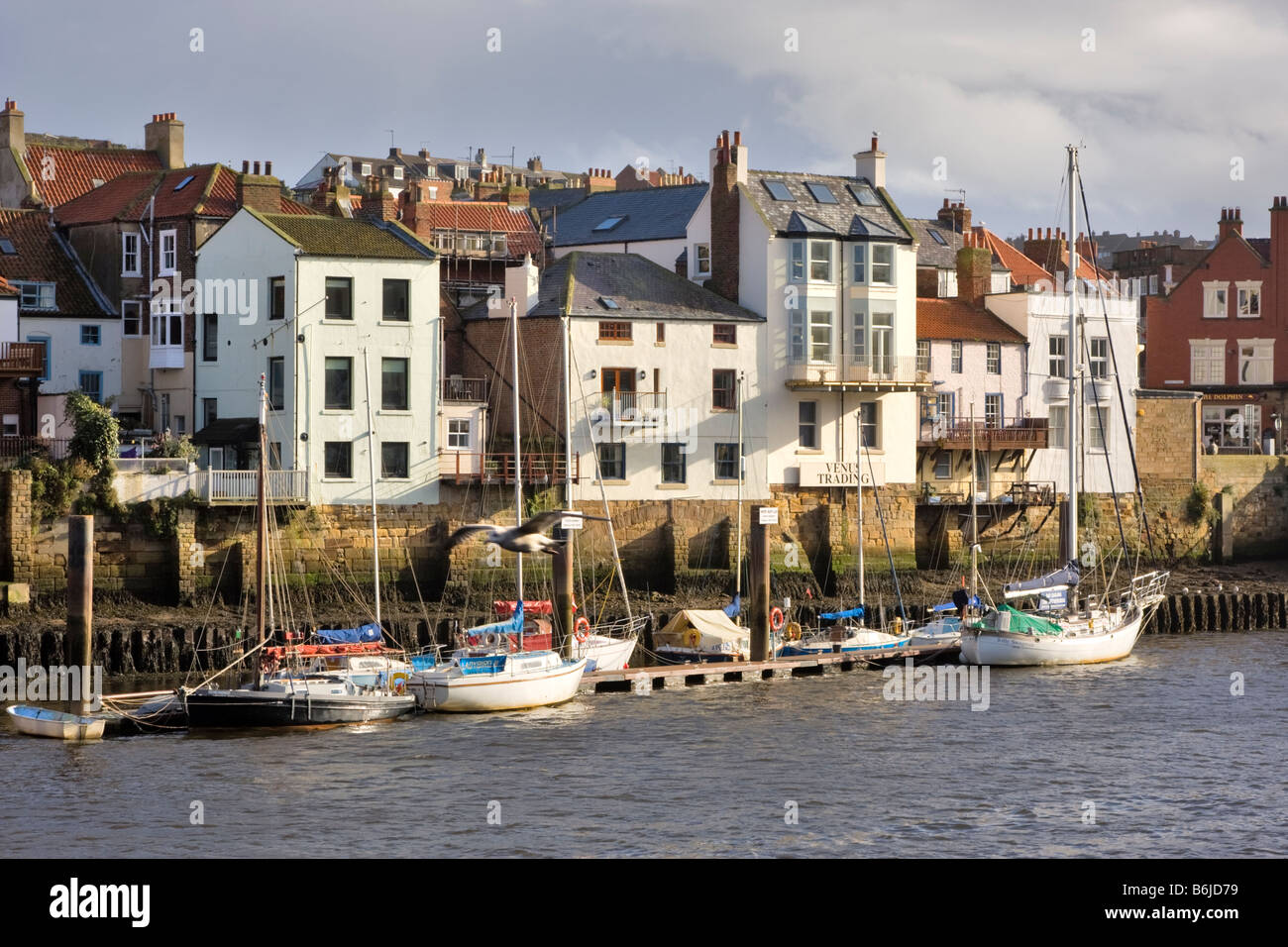 Yacht Club Moorings, havre Whitby, North Yorkshire Banque D'Images