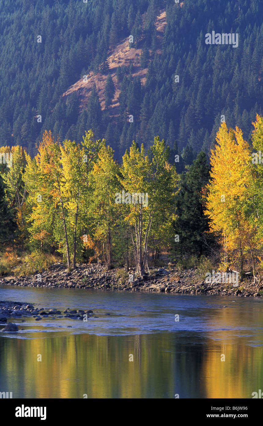NA, USA, Washington, Okanogan County. La couleur en automne sur la rivière Methow Banque D'Images
