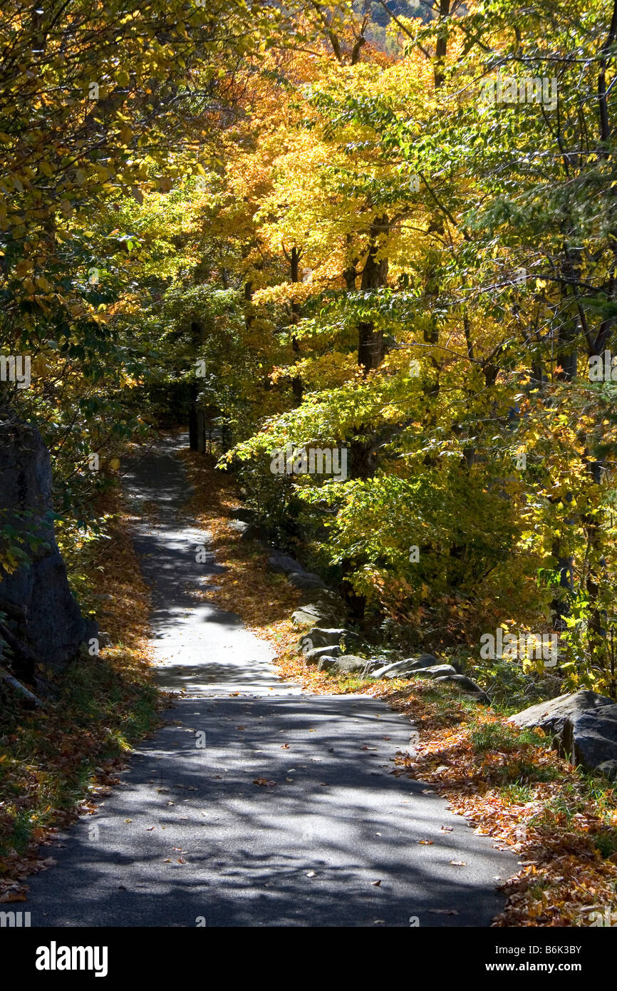 Sentier bordé d'arbres dans le Franconia Notch State Park, New Hampshire, USA Banque D'Images
