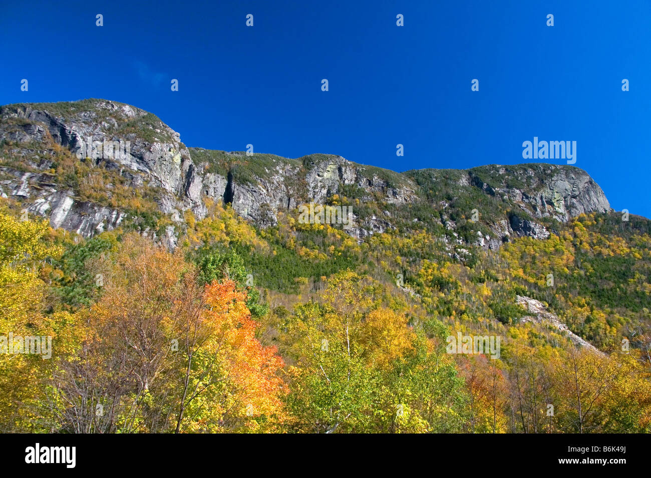 Vue panoramique de feuillage d'automne dans le Franconia Notch State Park New York USA Banque D'Images