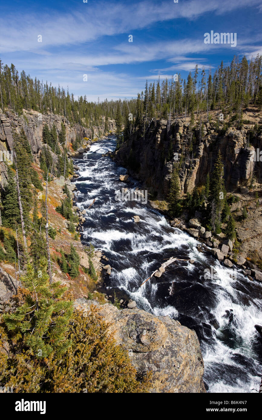 Rapides de la rivière Lewis, le Parc National de Yellowstone, Wyoming, USA Banque D'Images